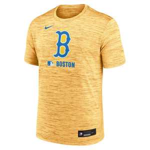 Men’s Boston Red Sox Nike Green 2025 Velocity T-Shirt The Urban Hawk